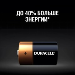 Батарейка DURACELL BASIC D/LR20-2BL - фото 3