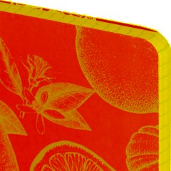 Бизнес-тетрадь  ароматизир.100л,кл,А5, КЛЕМЕНТИН,спир,тонир.блок 84906 - фото 3