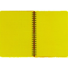 Бизнес-тетрадь  ароматизир.100л,кл,А5, КЛЕМЕНТИН,спир,тонир.блок 84906 - фото 6