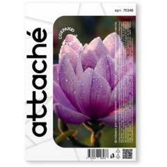 Фотобумага для цветн.струйн.печати (10х15, 190г, глянцевая) пачка 50л - фото 3