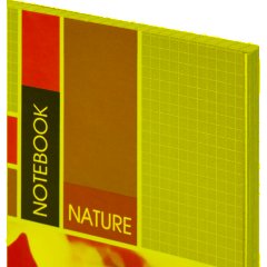 Бизнес-тетрадь Attache,96л,клет,А4,спир,обл.мел.карт - фото 3