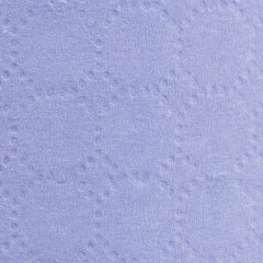 Бумага протирочная Luscan Prof 2сл 500лx1рул/уп 130м голубая Бумага протирочная Luscan Prof 2сл 500лx1рул/уп 130м голубая - фото 4