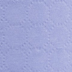 Бумага протирочная Luscan Prof 2сл 200лx1рул/уп 52м голубая - фото 4