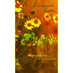 Телефонная книга 7БЦ с выбр.лак.обл,А5,100х210мм,80л,клей, в ассорт. - фото 7