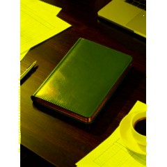 Ежедневник недатированный синий,А5,145х205мм,136л, Sidney NEBRASKA 3-128/04 - фото 22