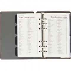 Ежедневник недатированный А5-,132х190мм,120л, FIRENZE красный 3-511/04 - фото 19