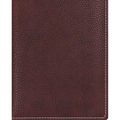 Ежедневник недатированный А5,142x210мм,176л,бордо АТТАСНЕ Bizon - фото 4