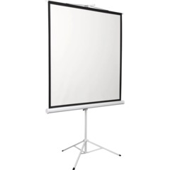 Экран Digis DSKD-1106 мобильный 1:1, 200х200 - фото 2
