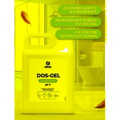 Профхим сантех щел гель с отбел/дез-эфф, с ХЛОР Grass/DOS GEL 5,3кг - фото 5