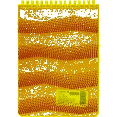 Блокнот WAVES оранжевый А5 спираль 50л. пласт. - фото 9