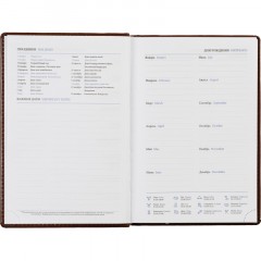 Ежедневник недатированный коричн, А5, 148x218, 352стр, Agenda - фото 12