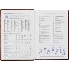 Ежедневник недатированный коричн, А5, 148x218, 352стр, Agenda - фото 16
