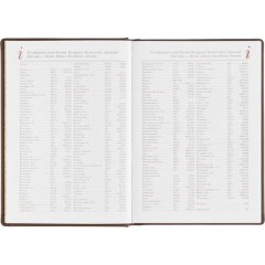 Ежедневник недатированный А5+, 136л, VELVET коричневый  3-115/03 - фото 13