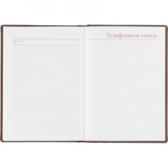 Ежедневник недатированный А5+, 136л, VELVET коричневый  3-115/03 - фото 19