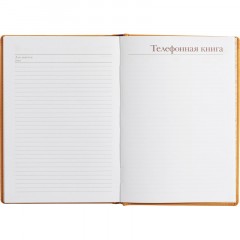 Ежедневник недатированный А5+, 136л, VELVET оранжевый  3-115/06 - фото 19