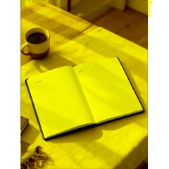 Ежедневник недатированный А5+, 136л, VELVET красный  3-115/10 - фото 24