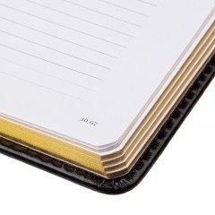 Ежедневник недатированный A4, ,  Megapolis   черный160л  3-026/02 - фото 3