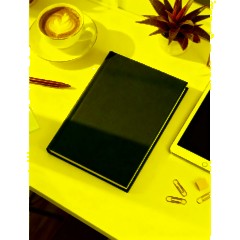 Ежедневник недатированный А5+, 136л,  IDEAL NEW   красный  3-122/06 - фото 20