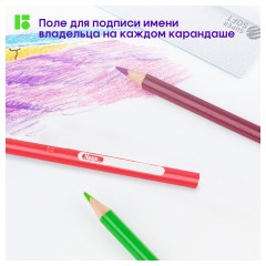 Карандаши цветные Berlingo "SuperSoft. Жил-был кот", 72цв., трехгран., заточен., картон, европодвес Карандаши цветные Berlingo "SuperSoft. Жил-был кот", 72цв., трехгран., заточен., картон, европодвес - фото 6