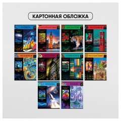 Комплект (10 шт.) предметных тетрадей 48л. BG "Хочу все знать!", эконом - фото 3