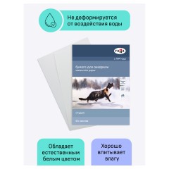 Папка для акварели, 50л., А4, Гамма "Студия", 200г/м2, среднее зерно - фото 4