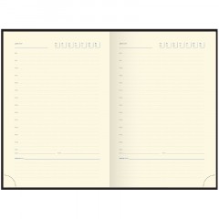 Ежедневник недатированный, А5, 160л., кожа, Delucci, фактурная кожа, золот. срез, черный - фото 5