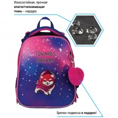 Ранец Berlingo Expert "Akita boy" 37*28*16см, 2 отделения, 2 кармана, анатомическая спинка - фото 3