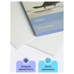Папка для акварели, 50л., А4, Гамма "Студия", 200г/м2, среднее зерно - фото 3