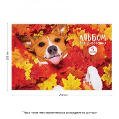 Альбом для рисования 12л., А4, на скрепке ArtSpace Питомцы. Funny dogs, эконом арт. А12ф_26318 Альбом для рисования 12л., А4, на скрепке ArtSpace Питомцы. Funny dogs, эконом арт. А12ф_26318 - фото 3