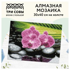 Алмазная мозаика ТРИ СОВЫ "Орхидеи на камнях", 30*40см, холст, картонная коробка с пластиковой ручкой - фото 2