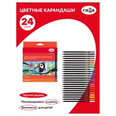 Карандаши цветные Гамма "Мультики", 24цв., черное дерево,заточен., картон. упак., европодвес Карандаши цветные Гамма "Мультики", 24цв., черное дерево,заточен., картон. упак., европодвес - фото 2