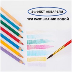Карандаши акварельные Гамма "Лицей", 36цв., шестигранные, заточен., с кистью, картон. упаковка, европодвес Карандаши акварельные Гамма "Лицей", 36цв., шестигранные, заточен., с кистью, картон. упаковка, европодвес - фото 6