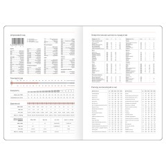 Ежедневник датированный 2026г., А5, 176л., твердый переплет, BG "Vesper Index. Dark red", тёмно-красный, блок с индексной вырубкой - фото 3