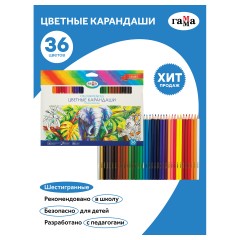Карандаши цветные Гамма "Классические", 36цв., заточен., картон. упаковка, европодвес Карандаши цветные Гамма "Классические", 36цв., заточен., картон. упаковка, европодвес - фото 2