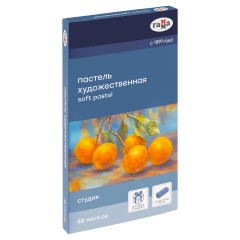 Пастель художественная Гамма "Студия", 48 цветов, 1/2 длины, картон. упаковка - фото 2