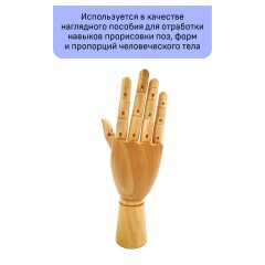 Манекен художественный "рука" Гамма "Студия", женская правая, деревянный, 25см Манекен художественный "рука" Гамма "Студия", женская правая, деревянный, 25см - фото 3