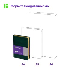 Ежедневник недатированный, А6, 160л., кожзам, Berlingo "xGold", зол. срез, зеленый Ежедневник недатированный, А6, 160л., кожзам, Berlingo "xGold", зол. срез, зеленый - фото 8