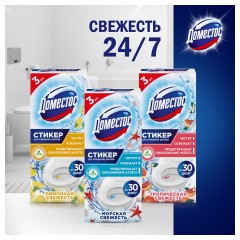 Освежитель/очиститель для унитаза/писсуара КОМПЛЕКТ 3 шт. х 10 г DOMESTOS Attax, "Морская Свежесть", стикер Освежитель/очиститель для унитаза/писсуара КОМПЛЕКТ 3 шт. х 10 г DOMESTOS Attax, "Морская Свежесть", стикер - фото 10