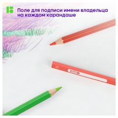 Карандаши цветные Berlingo "SuperSoft. Замки", 36цв., заточен., картон, европодвес Карандаши цветные Berlingo "SuperSoft. Замки", 36цв., заточен., картон, европодвес - фото 9