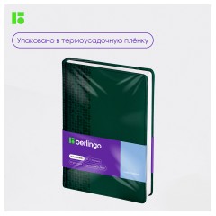 Ежедневник недатированный, А5, 160л., кожзам, Berlingo "Vivella Prestige", зеленый Ежедневник недатированный, А5, 160л., кожзам, Berlingo "Vivella Prestige", зеленый - фото 10