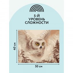 Картина по номерам на холсте ТРИ СОВЫ "Полярная сова", 40*50, с акриловыми красками и кистями Картина по номерам на холсте ТРИ СОВЫ "Полярная сова", 40*50, с акриловыми красками и кистями - фото 3