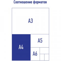 Папка-регистратор Berlingo "Terrain", 80мм, ламинированная, с рисунком Папка-регистратор Berlingo "Terrain", 80мм, ламинированная, с рисунком - фото 5