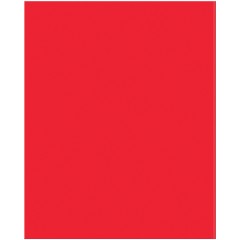 Комплект (12 шт.) предметных тетрадей 48л. BG "Перфокарта", пластиковая обложка - фото 6