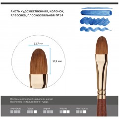 Кисть художественная колонок Гамма "Классика", плоскоовальная №14 Кисть художественная колонок Гамма "Классика", плоскоовальная №14 - фото 2