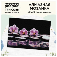 Алмазная мозаика ТРИ СОВЫ "Орхидеи", 50*70см, холст, картонная коробка с пластиковой ручкой Алмазная мозаика ТРИ СОВЫ "Орхидеи", 50*70см, холст, картонная коробка с пластиковой ручкой - фото 2