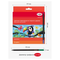 Карандаши цветные Гамма "Мультики", 24цв., черное дерево,заточен., картон. упак., европодвес Карандаши цветные Гамма "Мультики", 24цв., черное дерево,заточен., картон. упак., европодвес - фото 4