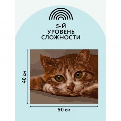 Картина по номерам на холсте ТРИ СОВЫ "Рыжик", 40*50, с акриловыми красками и кистями Картина по номерам на холсте ТРИ СОВЫ "Рыжик", 40*50, с акриловыми красками и кистями - фото 3