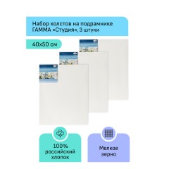 Набор холстов на подрамнике Гамма "Студия", 3шт., 40*50см, 100% хлопок, 280г/м2, мелкое зерно - фото 2