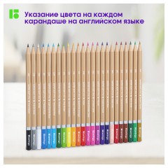 Карандаши цветные Berlingo "SuperSoft. Pro" 24цв., круглые, заточен., картон, европодвес Карандаши цветные Berlingo "SuperSoft. Pro" 24цв., круглые, заточен., картон, европодвес - фото 5