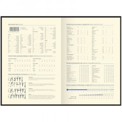 Ежедневник недатированный, А5, 160л., кожа, Delucci, фактурная кожа, золот. срез, черный - фото 4